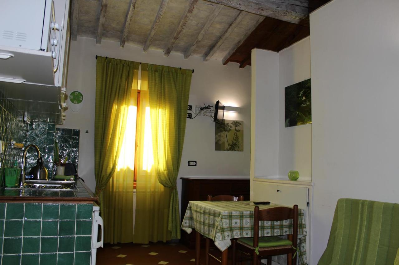 Gmax Guelfa * Florencia